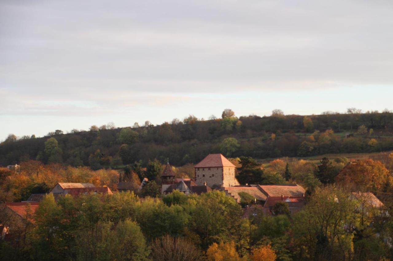 Wachenheim an der Weinstraße Ferienwohnung Im Schoenen Zellertal מראה חיצוני תמונה